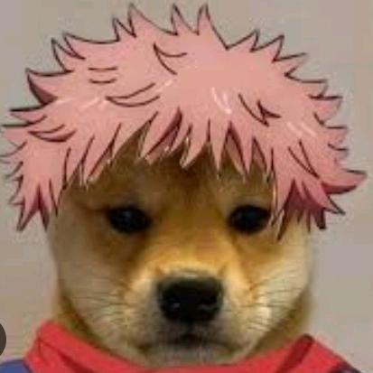 Profile Picture of Allan Alexander (@allan.alexander1) on Tiktok