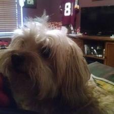 Profile Picture of Joseph Beameron Twitter