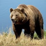 Profile Picture of timothy Bennett (@tboutdoors08) on Instagram