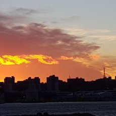 Profile Picture of Pease (@MarcPeasemarc) on Twitter