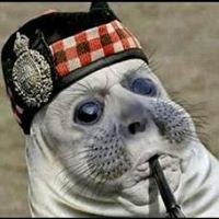 Profile Picture of Dylan Gould (@dylan-gould-3) on Quora