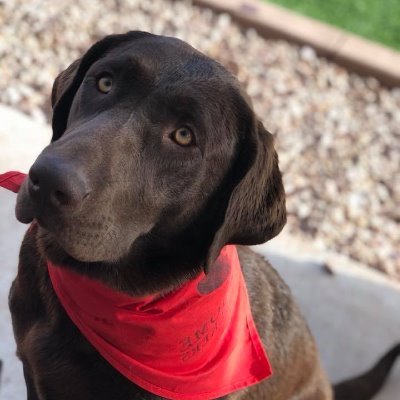 Lore Brown - Twitter Profile Picture of Lore Brown (@LoreBro00106270) on Twitter