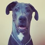 Profile Picture of Dexter Dane Fisher (@dexterdanefisher) on Instagram