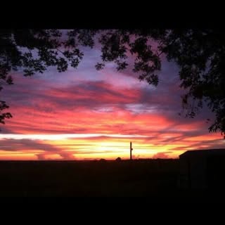 Profile Picture of Andrew Swedberg (@andrewswedberg) on Instagram