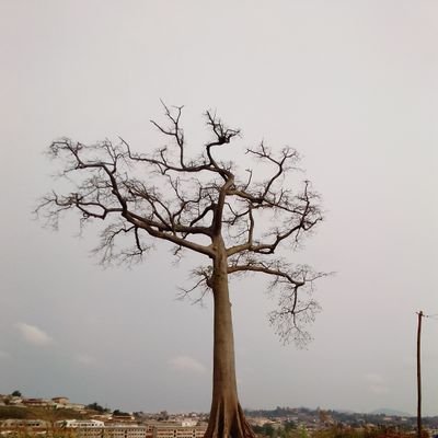 Marshella Williams - Twitter Profile Picture of Marshella Williams (@MarshellaWilli2) on Twitter