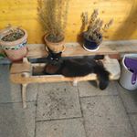 Profile Picture of Wolfgang Pöppel (@wolfgang.poppel) on Instagram