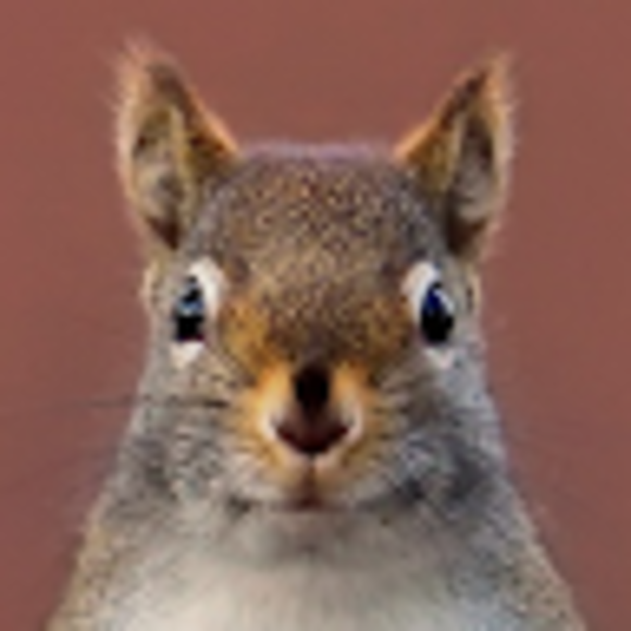 Ariane Beauparlant - Poshmark Profile Picture of Ariane Beauparlant (@squeakaree) on Poshmark