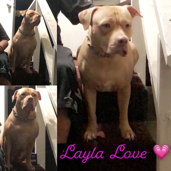 Edwin Villatoro - Poshmark Profile Picture of Edwin Villatoro (@edwinvillato305) on Poshmark