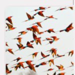 Profile Picture of Marina Ronald-Dussek (@brightonmarina) on Instagram