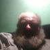 Profile Picture of Michael Guttery (@michael.guttery.50) on Facebook