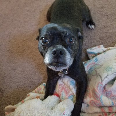 Profile Picture of Eric Milligan (@EricMilligan) on Twitter