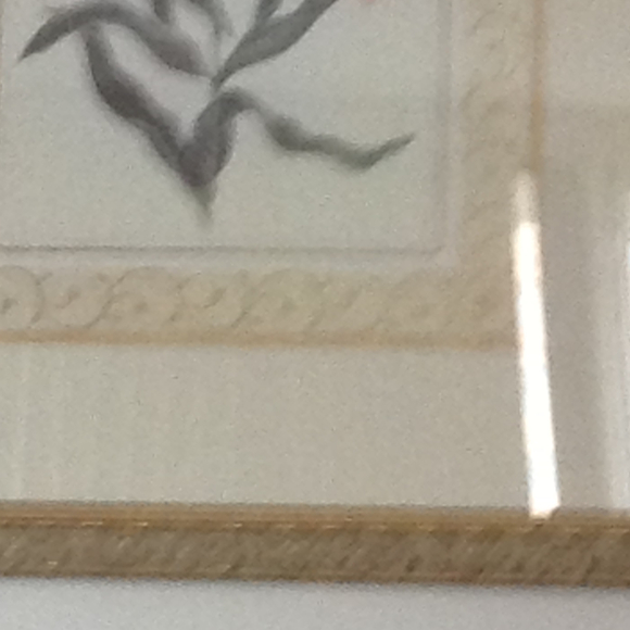 Paulette Adamis - Poshmark Profile Picture of Paulette Adamis (@padamis) on Poshmark