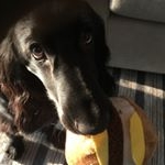 Profile Picture of Leo Goldsmith (@leo.goldsmith) on Instagram