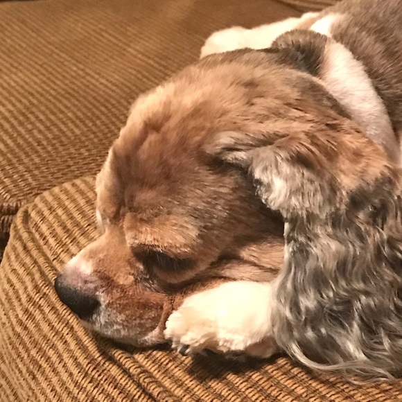 Profile Picture of Jenna Staerkel (@starry_ai) on Poshmark