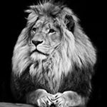 Profile Picture of Chris Reiten (@cmr1109) on Instagram