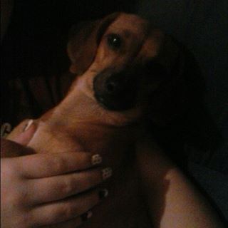 Profile Picture of Marilyn Howard (@Marilyn-Howard) on Facebook