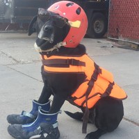 Profile Picture of Mark Mckinstry (@mark-mckinstry-7) on Quora