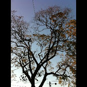 Profile Picture of Thomas Ryder Payne (@thomasryderpayne) on Youtube