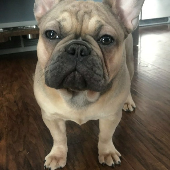 Profile Picture of Justin Ruther (@jruther23) on Poshmark