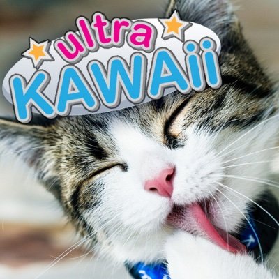 Profile Picture of Robert Lato (@ru2mix) on Twitter