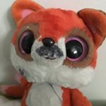 Profile Picture of Albert Audet (@albert.audet) on Instagram