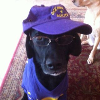 Profile Picture of Bella Schwartzbaum (@Bella-Schwartzbaum) on Facebook