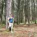 Profile Picture of David Cordoba (@david.cordoba.545402) on Facebook