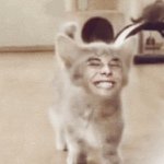 Profile Picture of kittykatkeaton (@kittykatkeaton) on Instagram