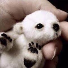 Profile Picture of Savannah Pearce (@spea5340) on Twitter