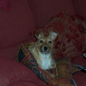 Profile Picture of Jonathan Kiely (@jonok1967) on Myspace