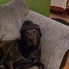 Profile Picture of James Quirk (@@user5317167588839) on Tiktok
