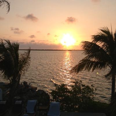 Profile Picture of Dave Goulet (@deepatsea1) on Twitter