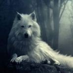 Profile Picture of Peter Jimmy Blicha (@peter.blicha.16) on Facebook