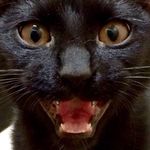 Profile Picture of Ronald Christopherson (@ronaldchristopherson) on Instagram