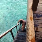 Profile Picture of lorenzo gilardoni (@lorenzo_gilardoni) on Instagram