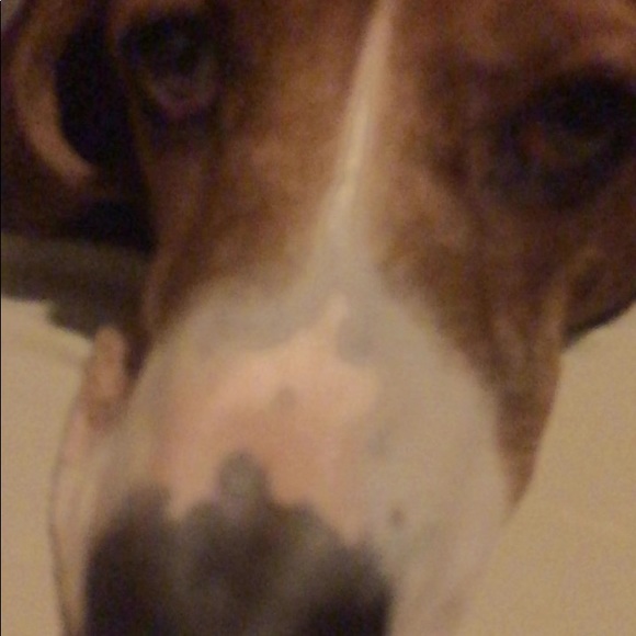 Profile Picture of Gavin Carlson (@gavinxxcarlson) on Poshmark