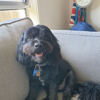 Profile Picture of Brendon Slater (@slater_brendon) on Twitter