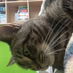 Profile Picture of Corban Titter (@Corban-Titter) on Facebook