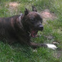 Profile Picture of John Savoy (@john-savoy-28) on Quora