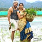 MD Apple Diver - Facebook Profile Picture of MD Apple Diver (@MD-Apple-Diver) on Facebook