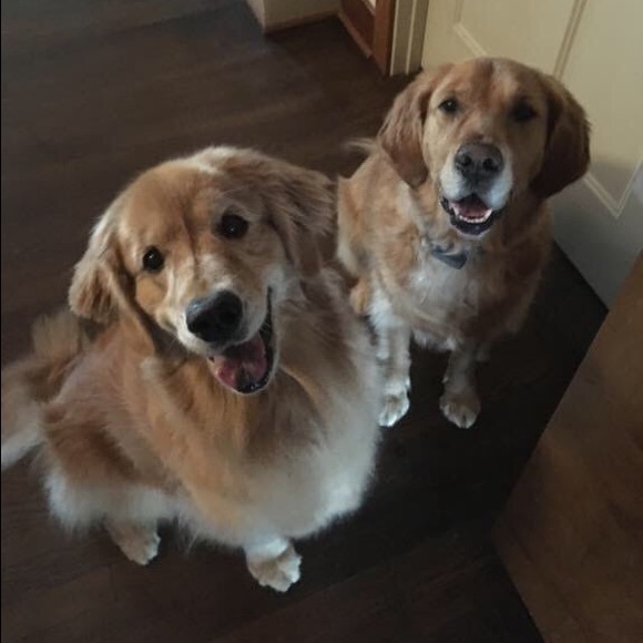 Profile Picture of Kevin Bailey (@2002kmb) on Poshmark