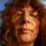 Profile Picture of Sally Hook (@sallyhookceramics) on Instagram