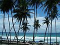 Profile Picture of Margarita Island - Wikipediaon Wikipedia