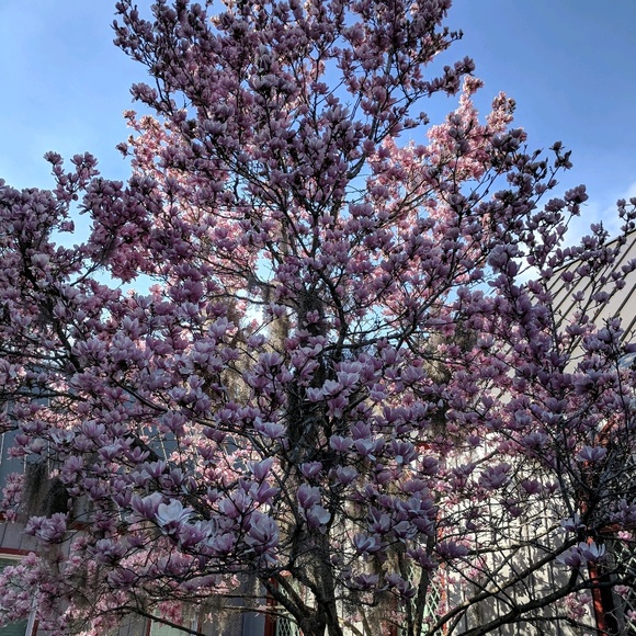 Profile Picture of Kim Troy (@ktroy80) on Poshmark