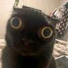 Profile Picture of Simone Patterson (@@pattychiariamicizialunga) on Tiktok
