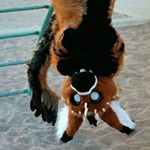 Profile Picture of Julia Zyla (@zyla_julia) on Instagram