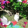 Profile Picture of Catherine Collobert (@@catherinecollobert) on Tiktok