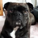 Profile Picture of Paul wadham (@paul_of_the_north) on Instagram