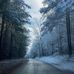 Profile Picture of Mark Newcomb (@mark.newcomb.589) on Facebook