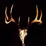 Profile Picture of Devon Wiley (@smalltown_hunters) on Instagram